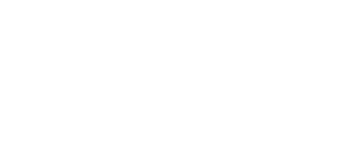 Vlasin